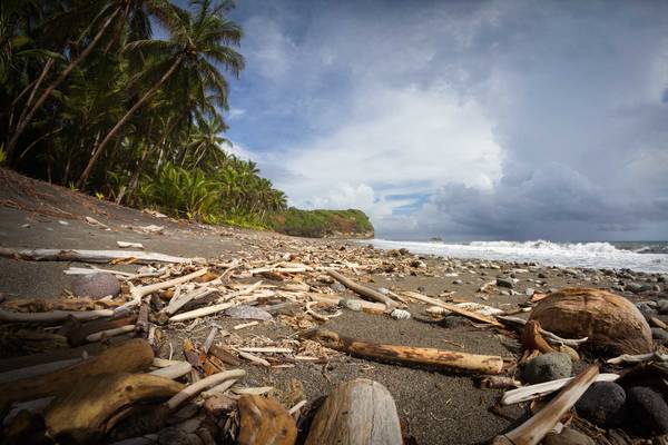Twee Caribische bestemmingen met totaal verschillende karakters. Ideaal te combineren; de weelderige natuur op Dominica en de zandstranden op St. Maarten.