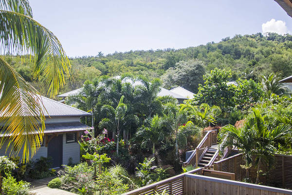French Coco Martinique