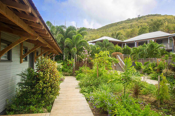French Coco Martinique