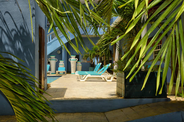 Parrot Cove around pool.jpg