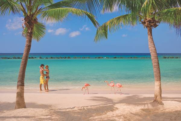 Renaissance Aruba
