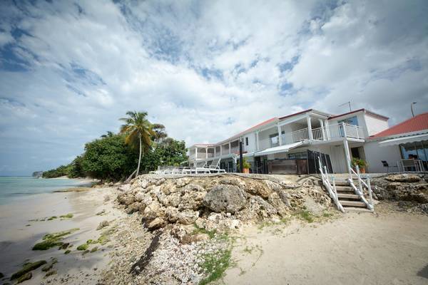 cocos-guadeloup-14.jpg