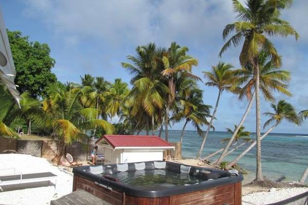 cocos-guadeloup-3.jpg
