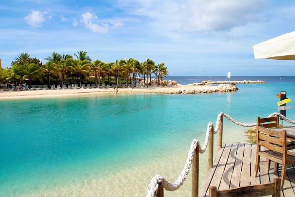 lions-dive-mambo-beach.jpg