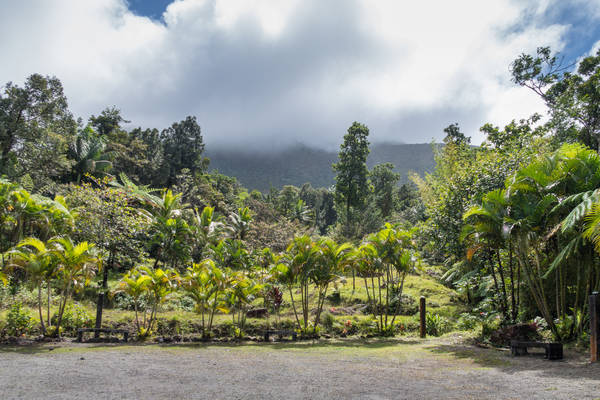 Dominica
