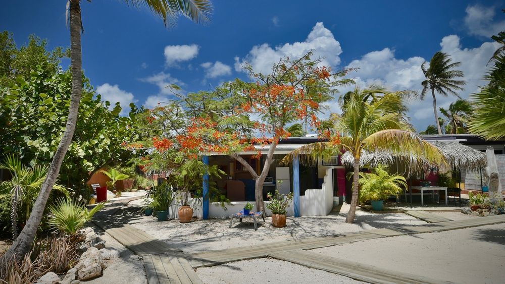 Beach House Aruba