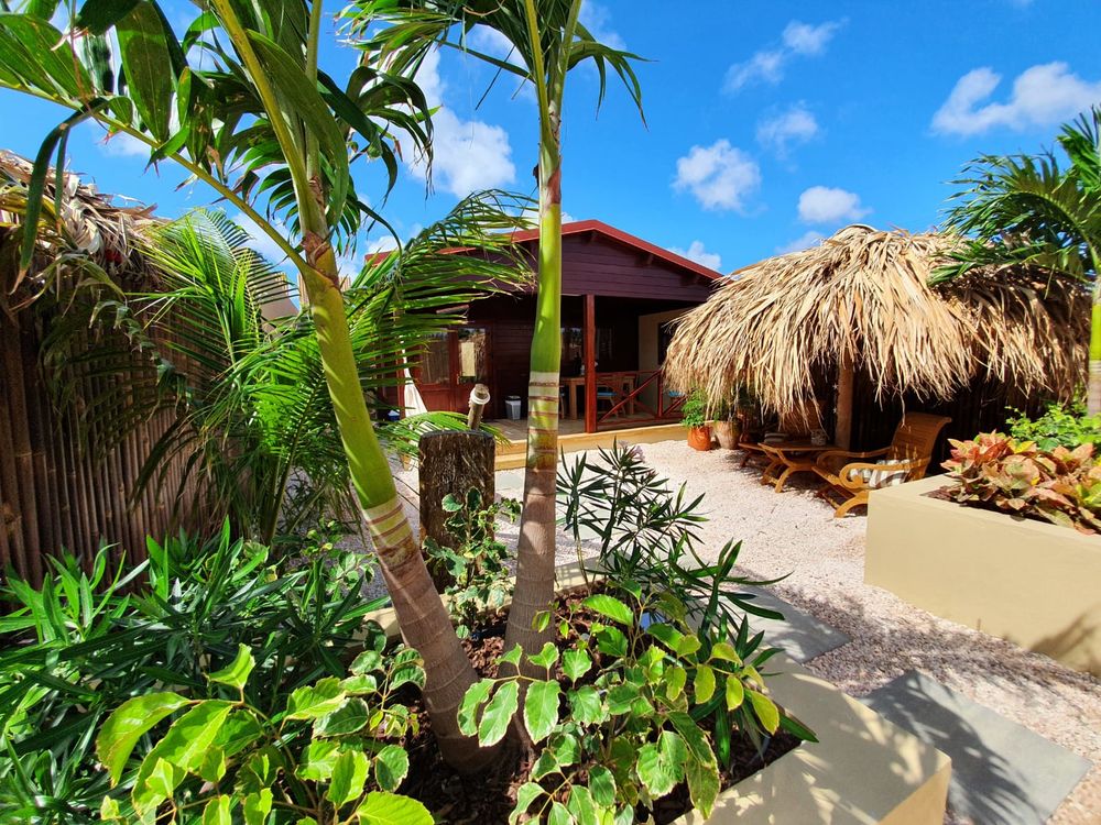 Bamboo Bali