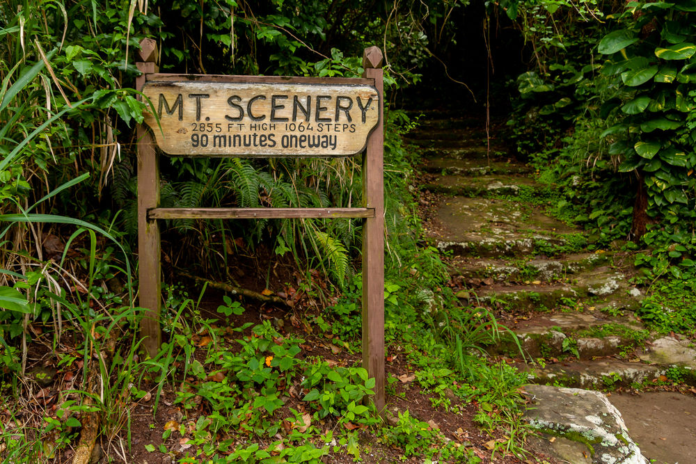Mt Scenery Saba