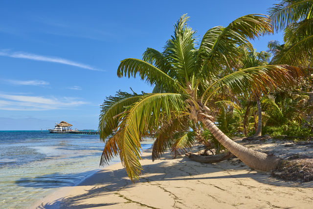 Long caye