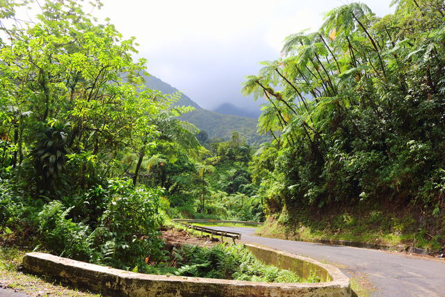 Martinique