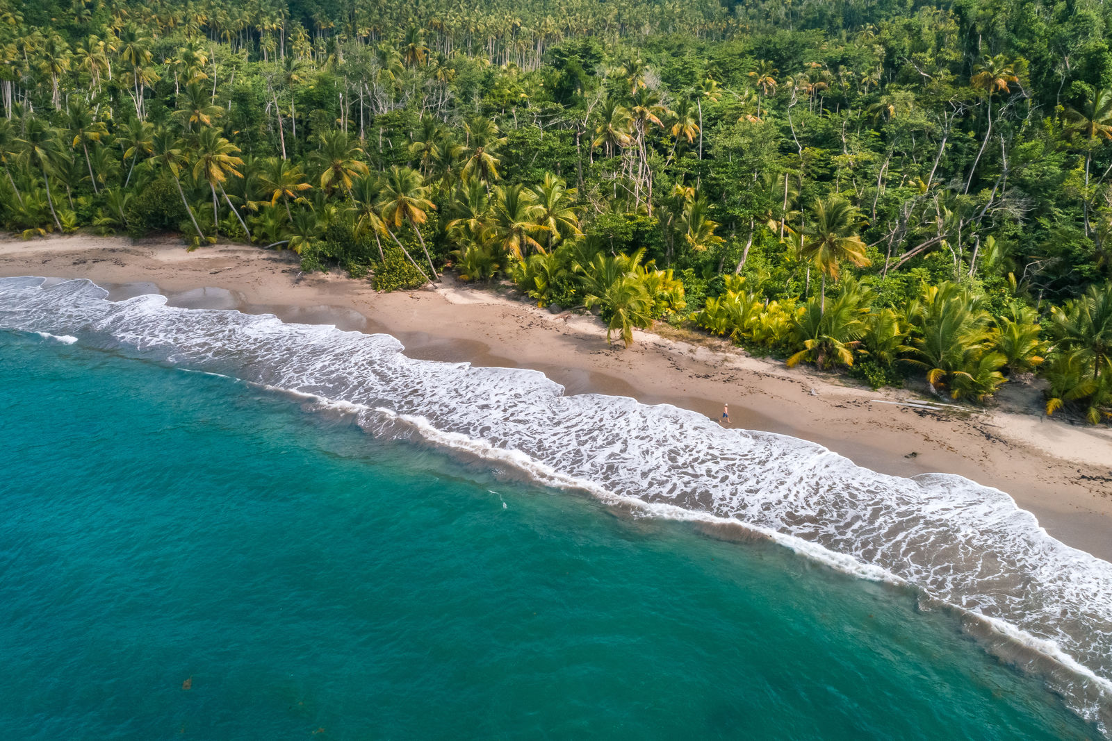 EpicTrails_Dominica2019_LukaszLarssonWarzecha_(15).jpg