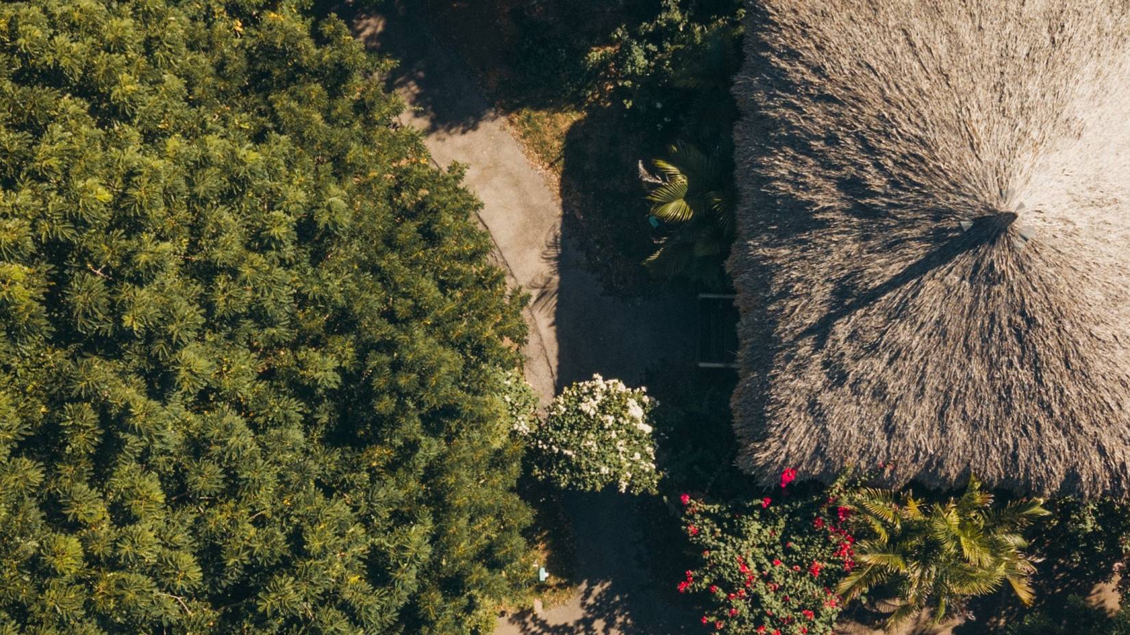 2019-12-08 - CURACAO - MONDI LODGE-20.jpg