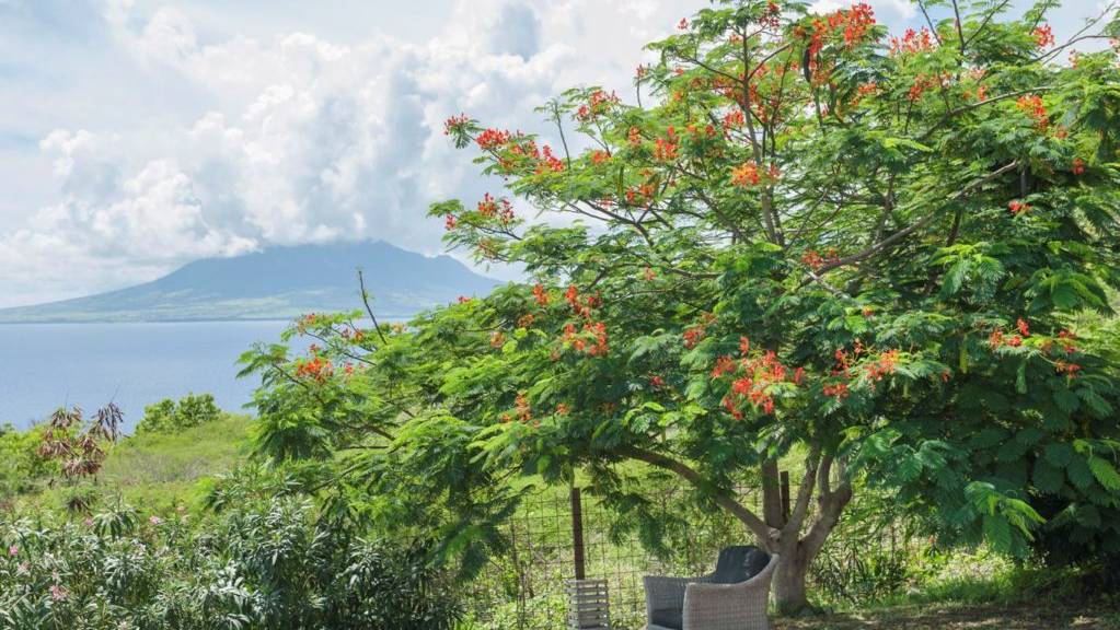 4villa-fragipani-steustatius-.jpeg