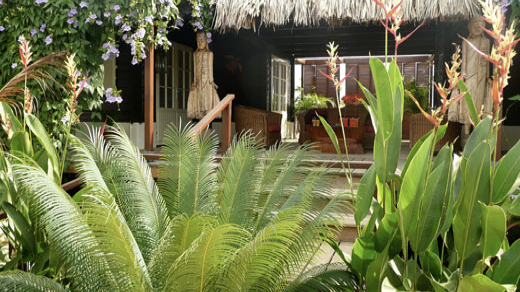 Bamboo Bali Bonaire