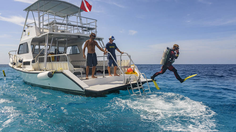 Buddy Dive Resort Bonaire