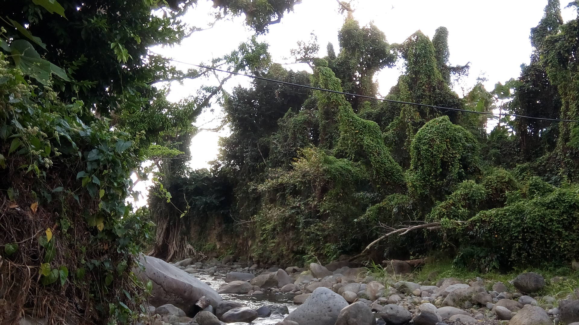 Citrus Creek - Dominica