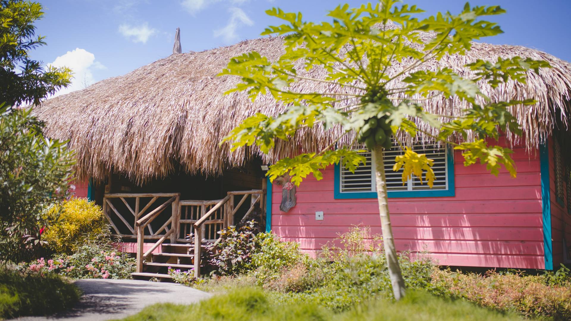 Mondi Lodge 8 feb-45-2.jpg