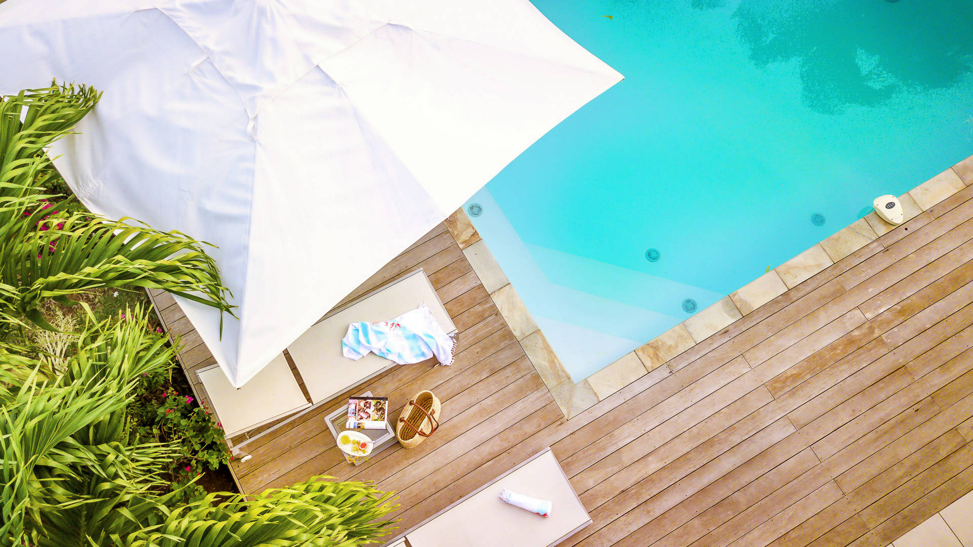 Palm Villas Martinique