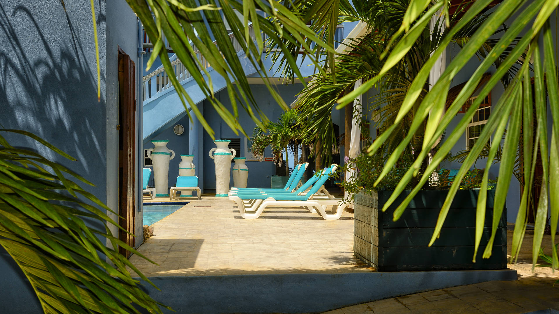Parrot Cove around pool.jpg