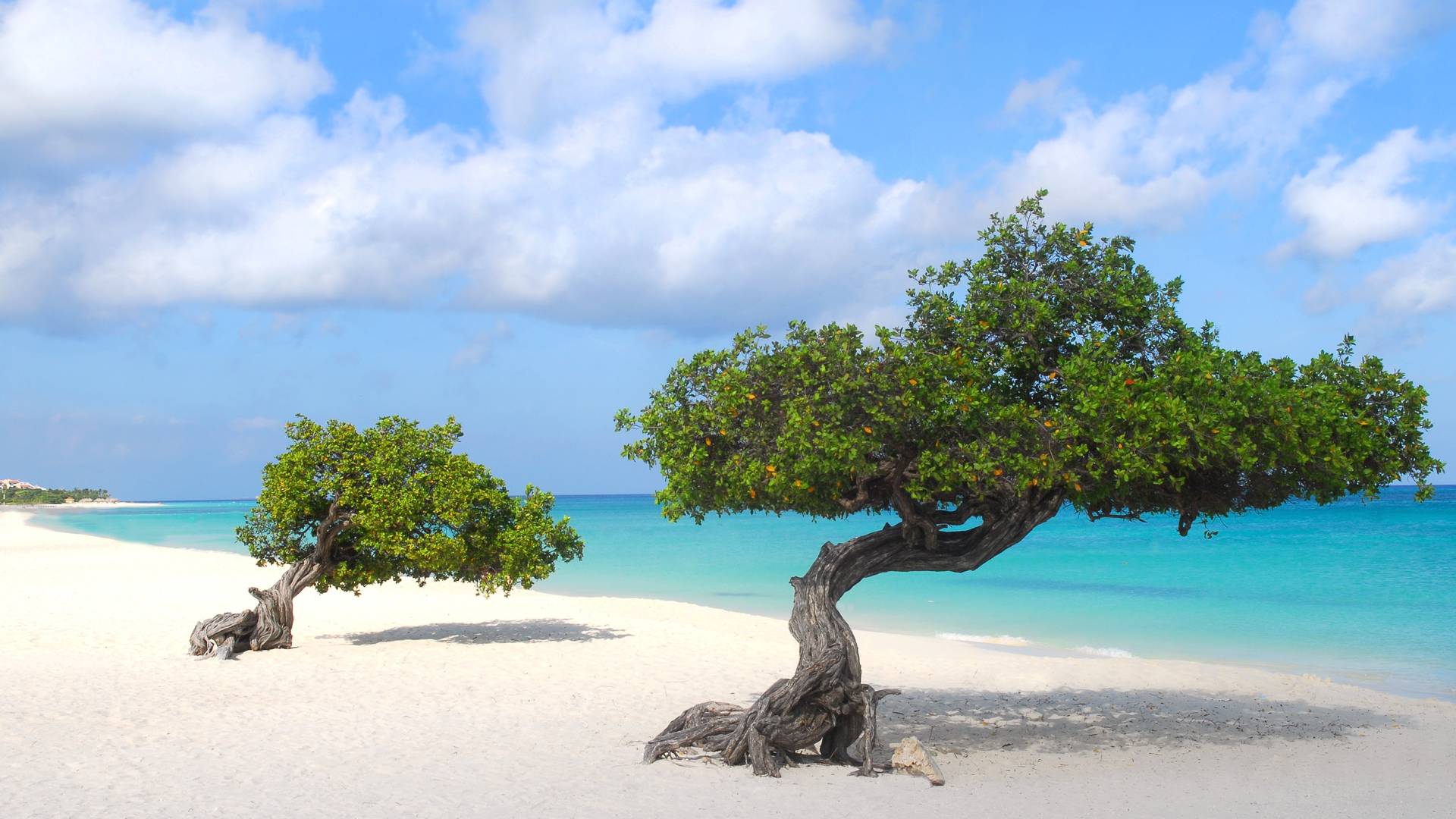 BON Travel - Caribbean & Beyond | boek jouw ultieme reis naar Aruba