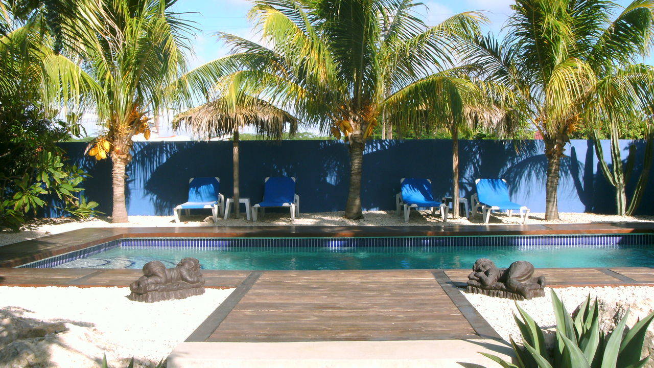 Caribbean Chillout Bonaire