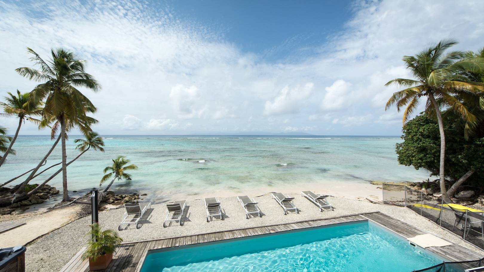 cocos-guadeloup-1.jpg
