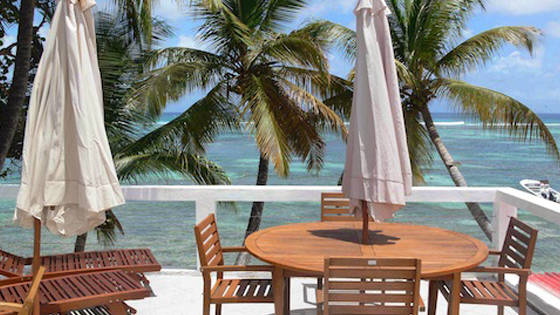 cocos-guadeloup-16.jpg
