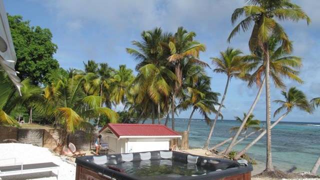 cocos-guadeloup-3.jpg