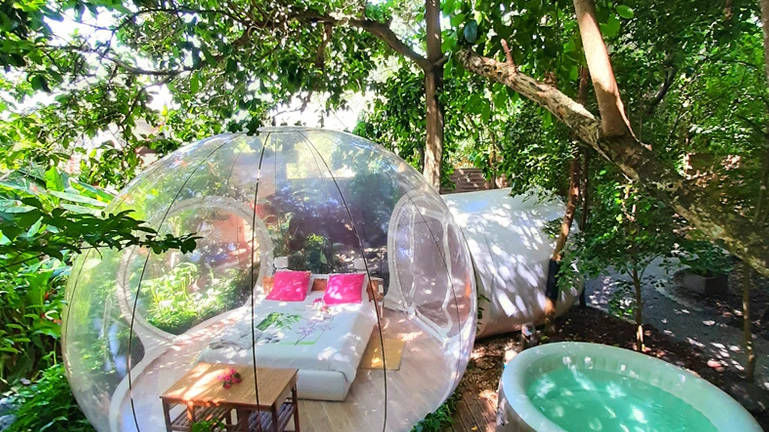 Le Domaine des Bulles Martinique