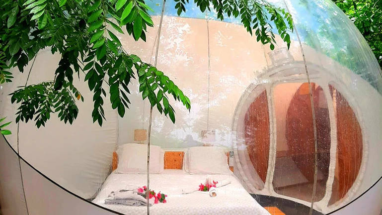 Le Domaine des Bulles Martinique