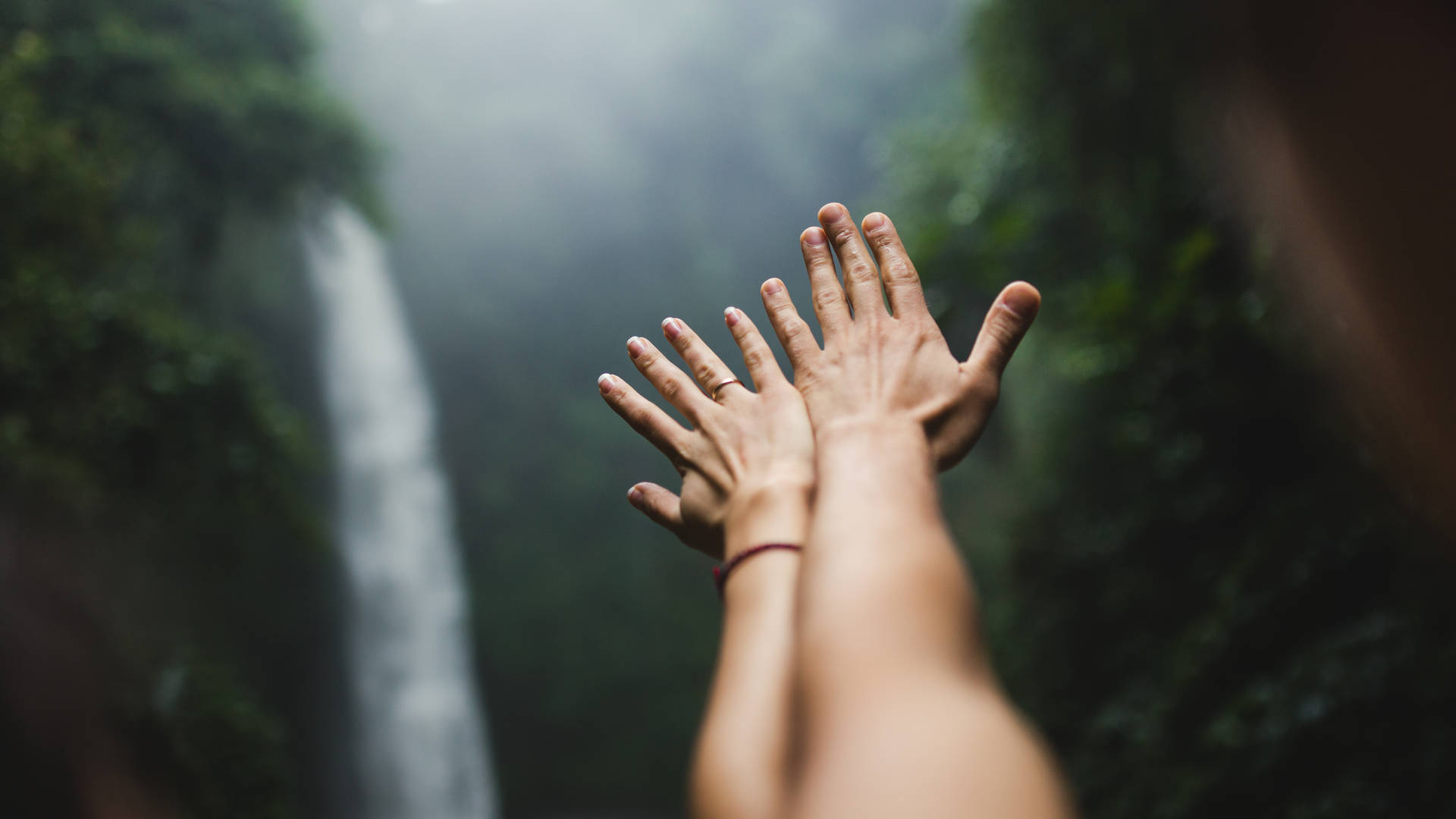 iStock-510865558.jpg