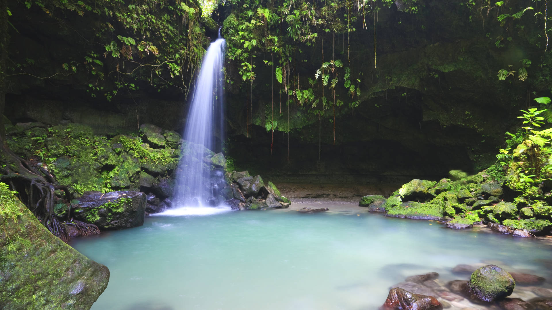 Dominica