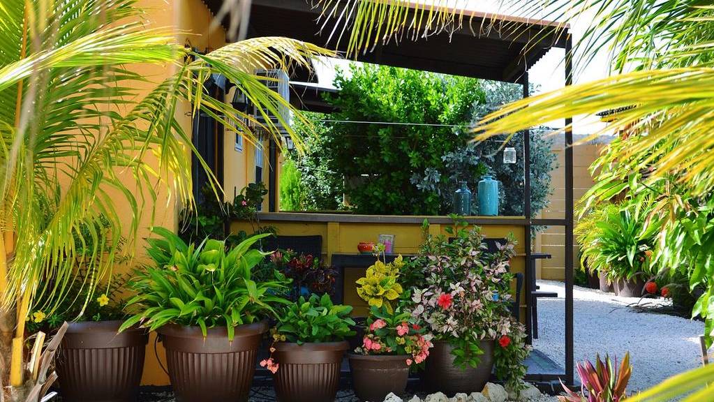 Jan Kok Lodge Curacao
