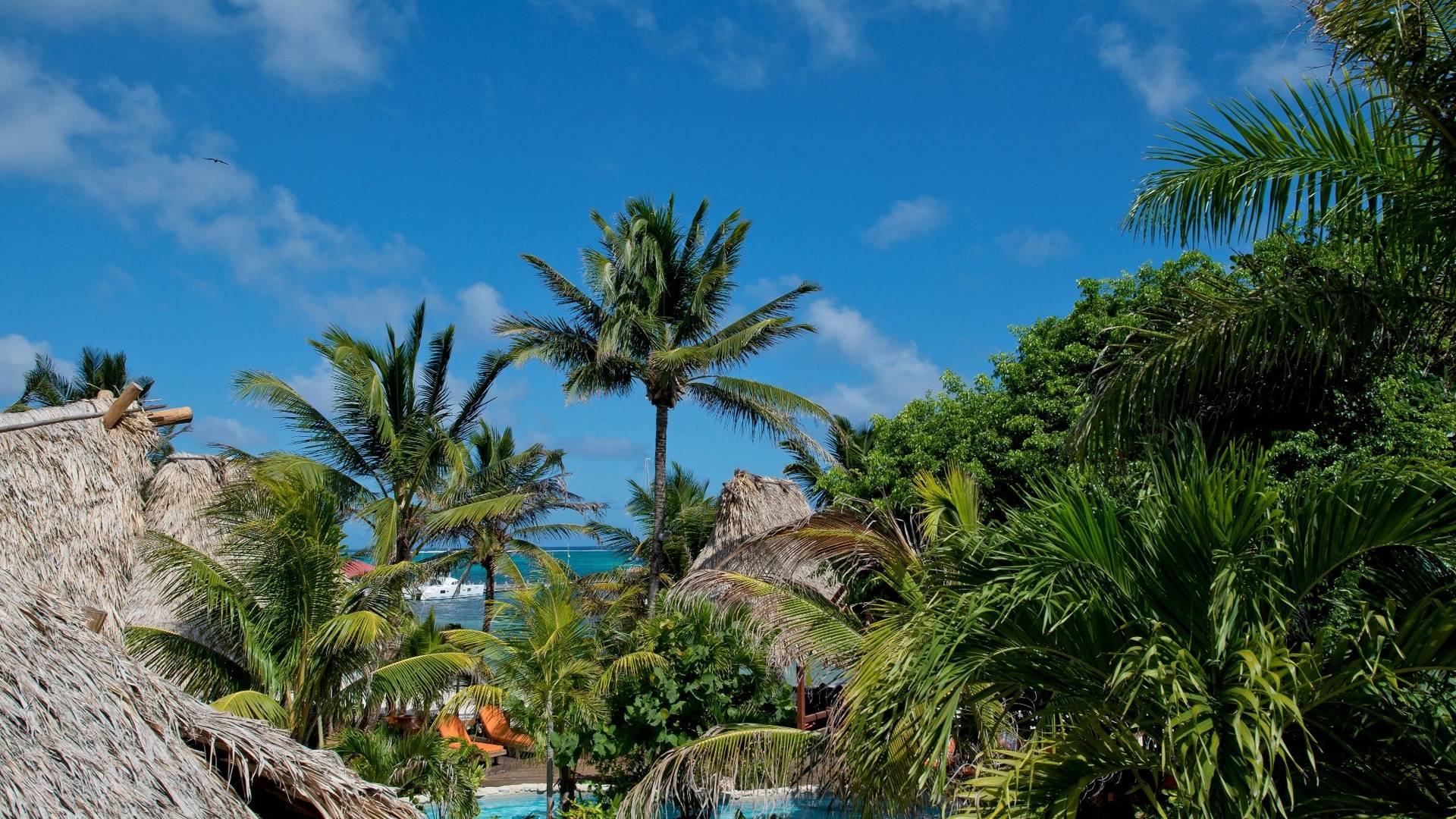 Ramon's Village Belize