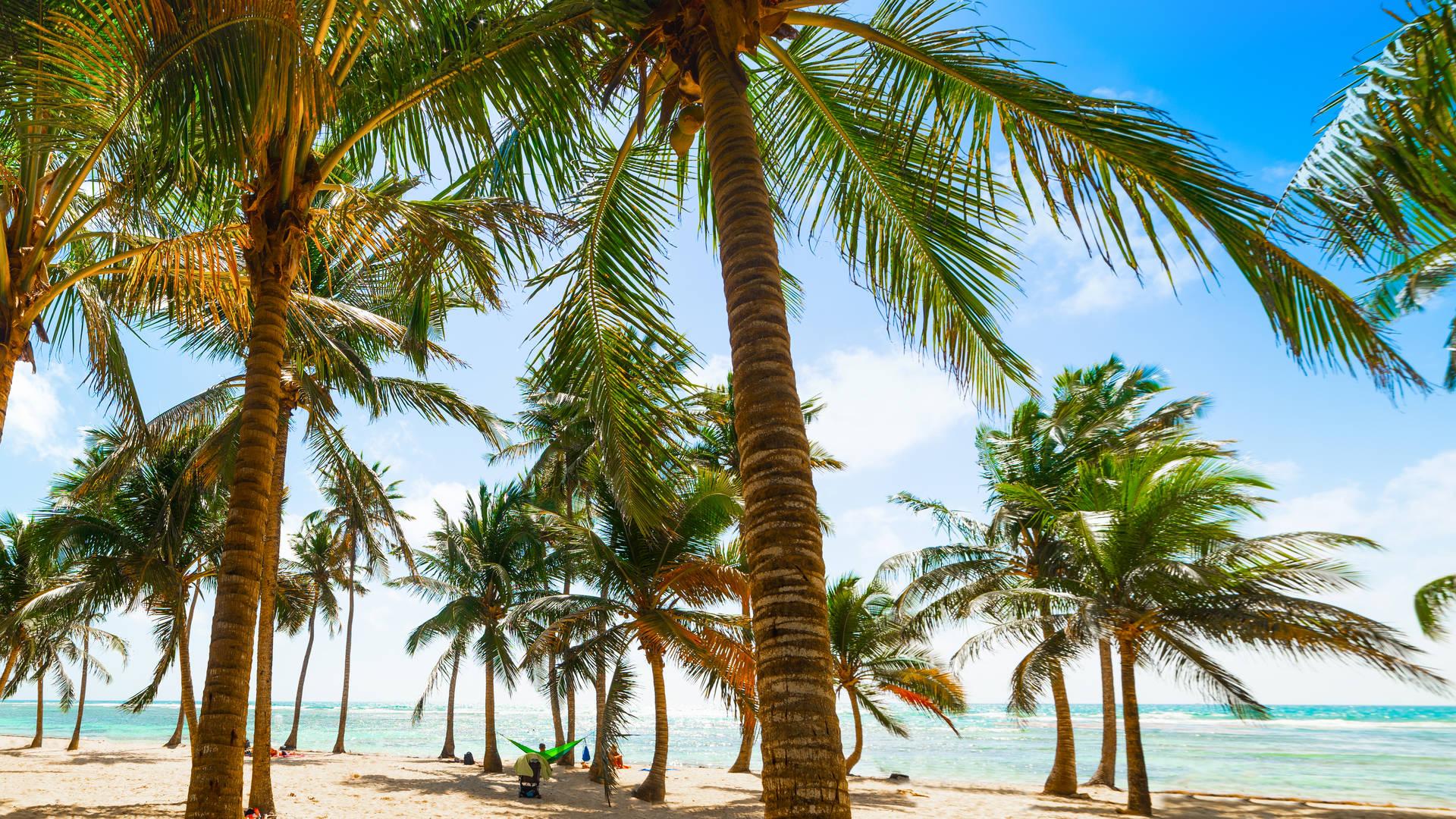 Guadeloupe