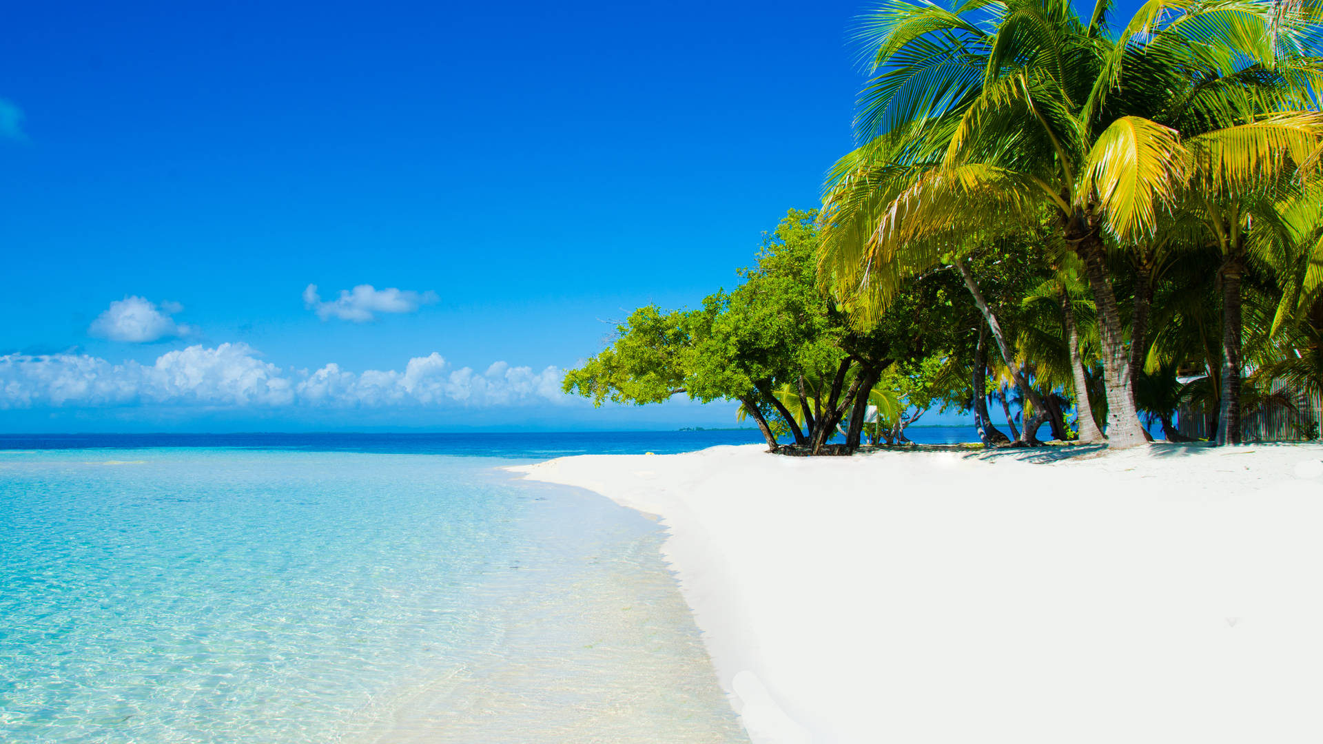 shutterstock_164705195.jpg