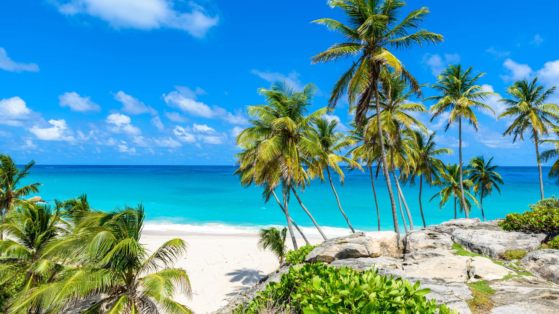 Vakantie Barbados? Dit is Barbados in vogelvlucht
