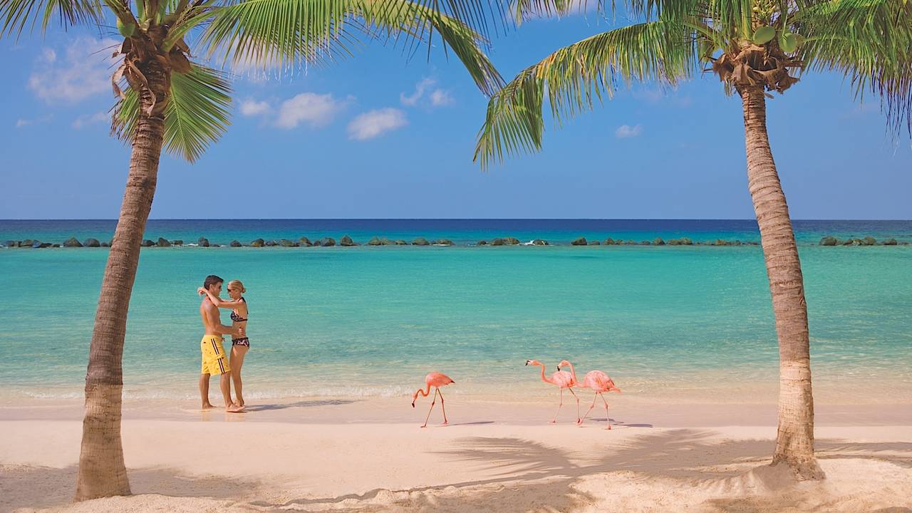 Renaissance Aruba