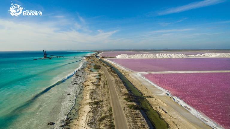 Zoutpannen Bonaire