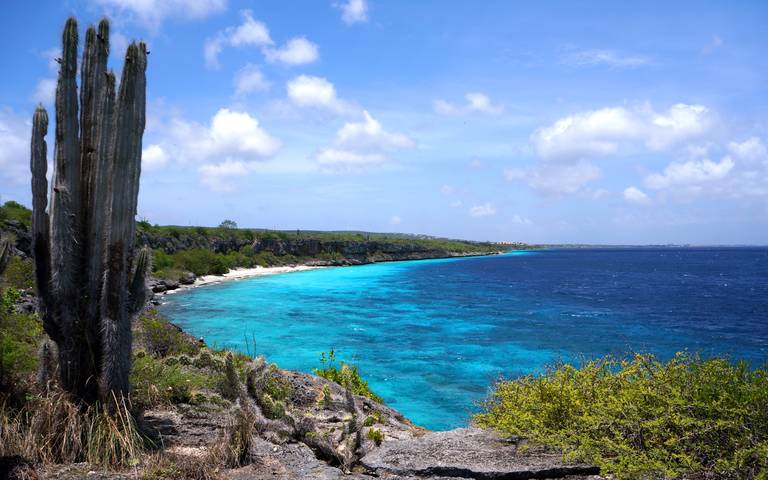 Bonarie eiland
