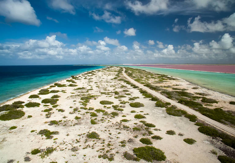bonaire