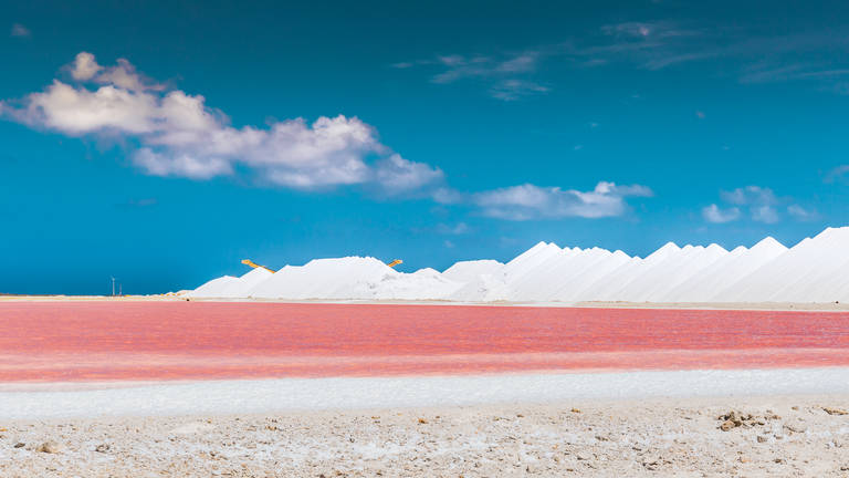 Zoutpannen Bonaire